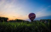Туры в отель SONEKA