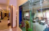 Туры в отель Mukarnas Spa Resort