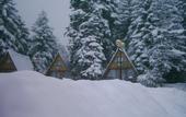 Туры в отель Hotel Moura