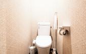 Туры в отель HOTEL Amaranth KyotoGojo
