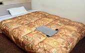 Туры в отель HOTEL LiVEMAX Tendo