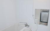 Туры в отель Lio Hotel Tokyo Nippori