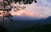 Туры в отель Mutiara Taman Negara Resort