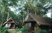 Туры в отель Mutiara Taman Negara Resort