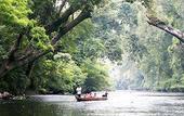 Туры в отель Mutiara Taman Negara Resort