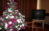 Туры в отель Hotel Ambassadeur