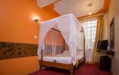Туры в отель The Luke Hotel