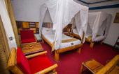 Туры в отель The Luke Hotel