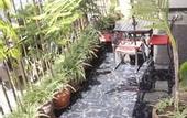 Туры в отель Easy Hotel Kenya