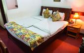 Туры в отель Wida Highway Motel