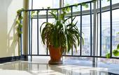 Туры в отель Global Palace Hotel