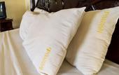 Туры в отель Platinum Hotel