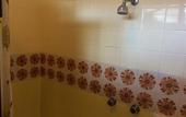 Туры в отель Lotus Hotel