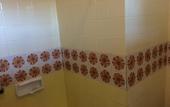 Туры в отель Lotus Hotel