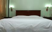 Туры в отель Sandton Palace Hotel