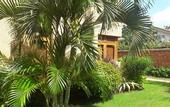 Туры в отель Villa Mandhari- Diani Beach
