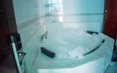 Туры в отель Sheratton Regency Hotel