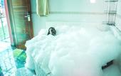 Туры в отель Sheratton Regency Hotel