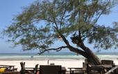 Туры в отель Aqua Resort