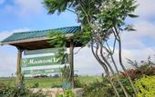 Туры в отель Maanzoni Lodge