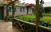 Туры в отель Maanzoni Lodge