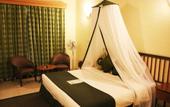 Туры в отель Maanzoni Lodge