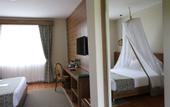 Туры в отель Maanzoni Lodge