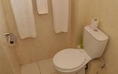 Туры в отель Maanzoni Lodge