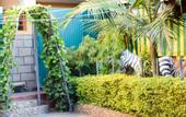 Туры в отель Pine Breeze Getaway Lukenya