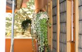 Туры в отель Pine Breeze Getaway Lukenya
