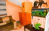 Туры в отель Pine Breeze Getaway Lukenya
