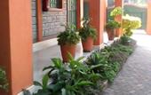 Туры в отель PEC Guest House