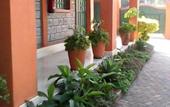Туры в отель PEC Guest House