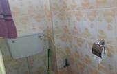 Туры в отель PEC Guest House