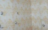 Туры в отель PEC Guest House