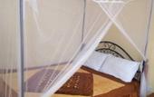 Туры в отель PEC Guest House