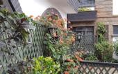Туры в отель The Grand Gables