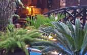 Туры в отель The Grand Gables