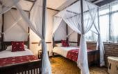 Туры в отель The Grand Gables