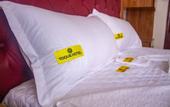 Туры в отель Toque Hotel