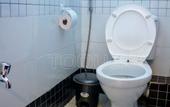 Туры в отель Toque Hotel