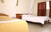 Туры в отель LMS Guest House