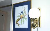 Туры в отель LMS Guest House