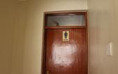 Туры в отель LMS Guest House