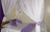 Туры в отель LMS Guest House