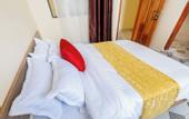 Туры в отель Mang Hotel