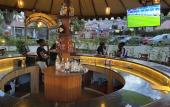 Туры в отель Coyote Haven Bridge Hotel