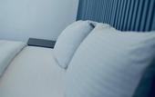 Туры в отель Alyusra Palm Tree Hotel