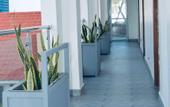 Туры в отель Alyusra Palm Tree Hotel