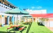 Туры в отель Alyusra Palm Tree Hotel